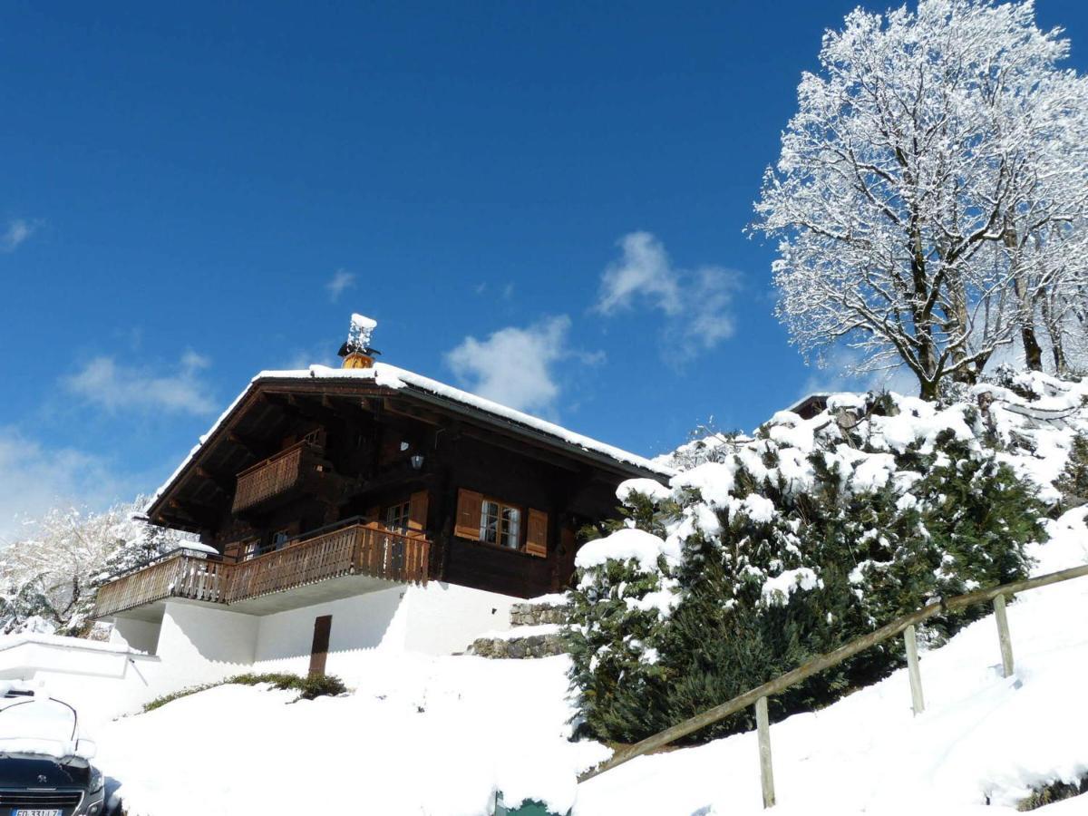 Chalet 8 Pers, Proche Pistes, 3***, Balcon, Cheminee - Fr-1-304-243 Villa La Clusaz Exterior photo